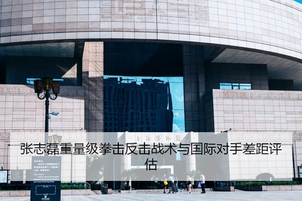 张志磊重量级拳击反击战术与国际对手差距评估